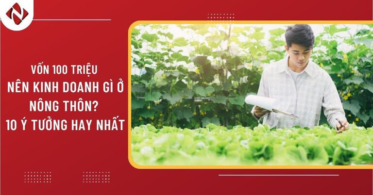 100 Triệu Kinh Doanh Gì Ở Nông Thôn? Ý Tưởng Khởi Nghiệp 2024