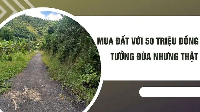 50-trieu-mua-dat-o-dau-huong-dan-chi-tiet-cho-nguoi-mua-lan-dau-234-5023