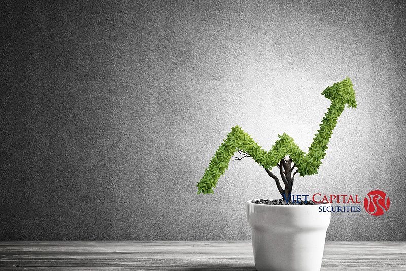 chien-luoc-toi-uu-hoa-loi-nhuan-tu-choi-chung-khoan-cho-nguoi-moi-bat-dau-234-3407