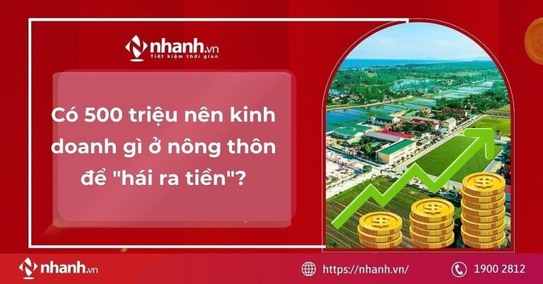 Có 500 Triệu Nên Kinh Doanh Gì Ở Nông Thôn? 12 Ý Tưởng Khởi Nghiệp Hái Ra Tiền Năm 2024