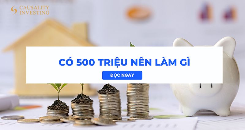 co-500-trieu-nen-lam-gi-huong-dan-dau-tu-kinh-doanh-thong-minh-2024-234-6362