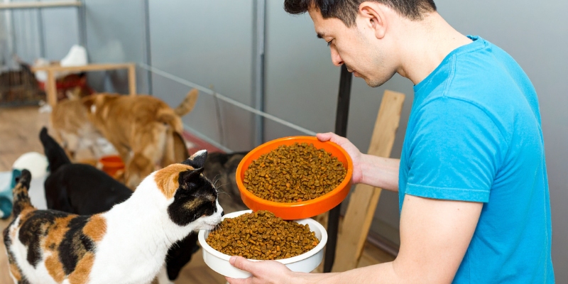 Kinh doanh thức ăn chăn nuôi và cám viên