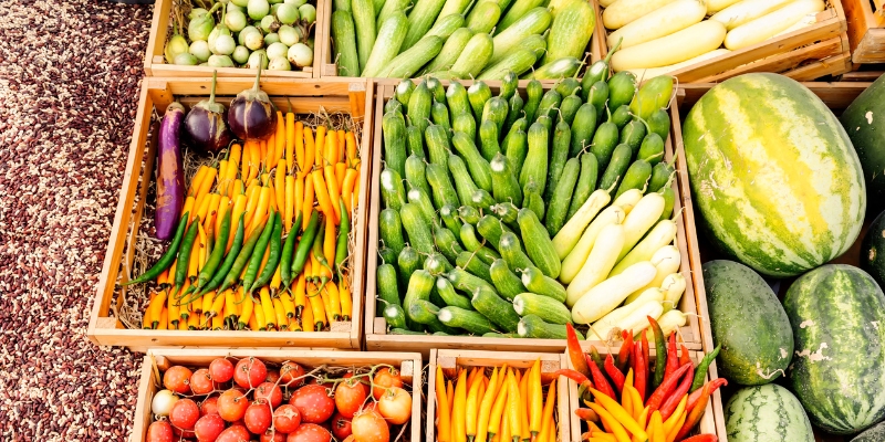 Mở xưởng sản xuất mặt hàng nông sản khô đóng gói