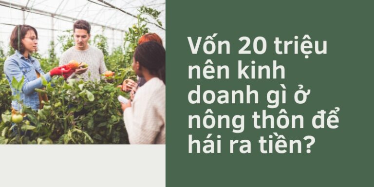 Vốn 20 triệu nên kinh doanh gì ở nông thôn để hái ra tiền?